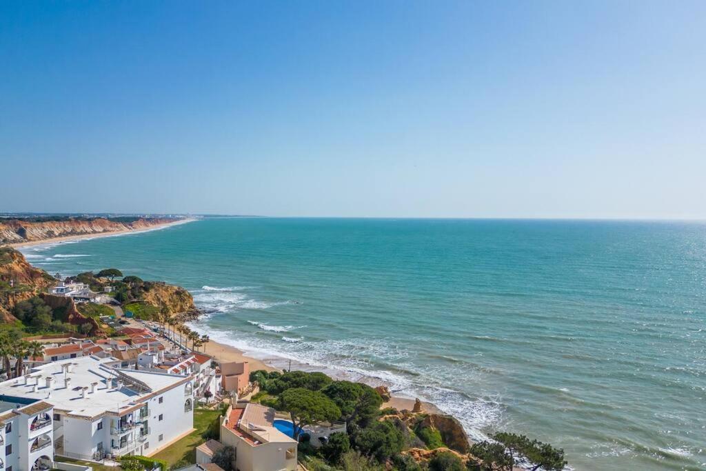 Perfect Place To Escape To With Rooftop Infinity Pool Apartment Olhos de Agua  Luaran gambar